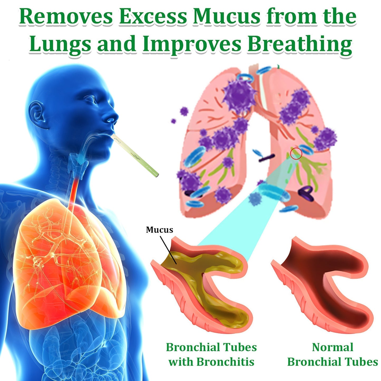 ✨ New upgraded version of Glowrizon® Mullein Herbal Lung Purifier – 🔥 70% off today only!