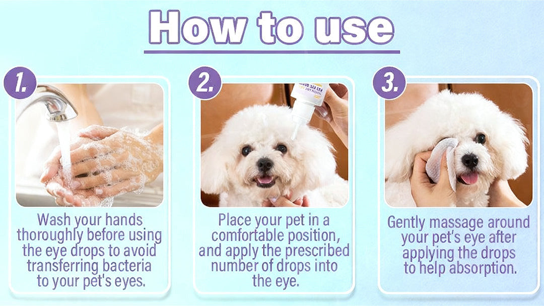 👩‍⚕️ BBOJI™ NanoCare Pet Eye Drops ☑️  Relieves Conjunctivitis, Dry Eyes, Cataracts, and Keratitis🐶