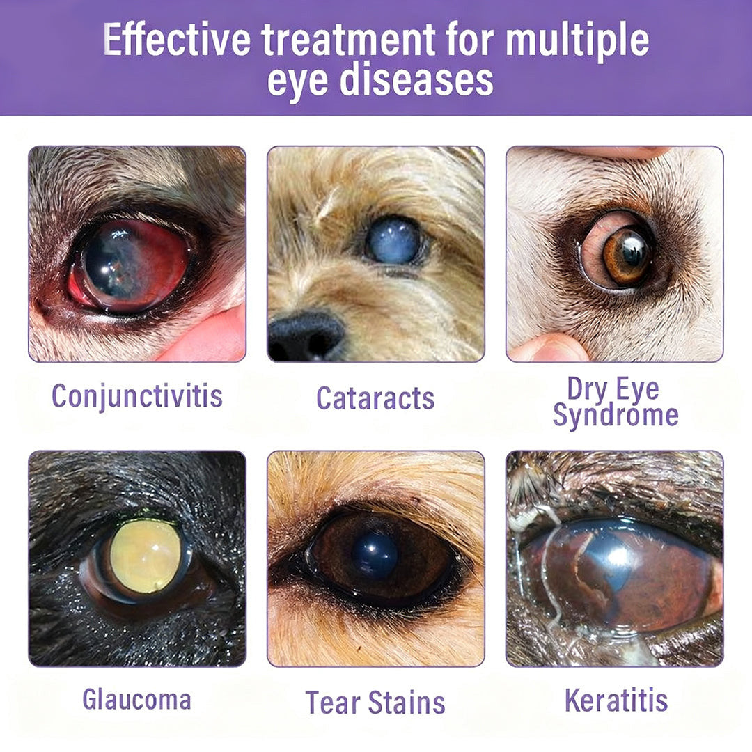 👩‍⚕️ BBOJI™ NanoCare Pet Eye Drops ☑️  Relieves Conjunctivitis, Dry Eyes, Cataracts, and Keratitis🐶