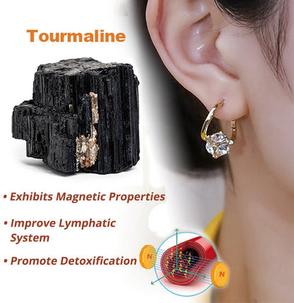(🎅Christmas 🎄Limited Time Discount 80% Last Day 🎁)Histone Lymphatic MagneTherapy Germanium Earrings