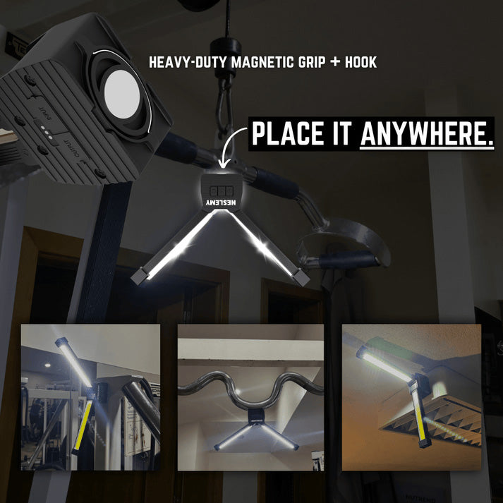 Professional NESLEMY