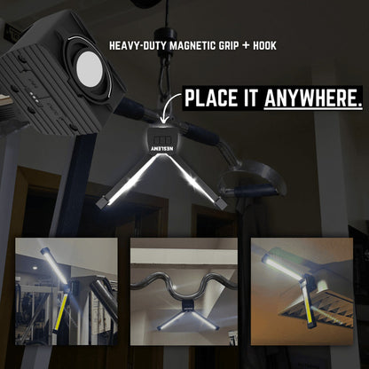 Professional NESLEMY