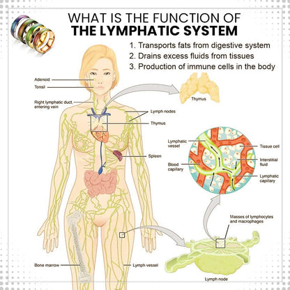 Histone™Thermotherapeutic Body Detox Ring(Limited time discount 🔥 last day)